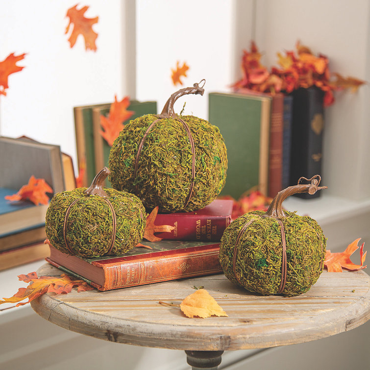 Faux 15 Moss Pumpkin Primrue