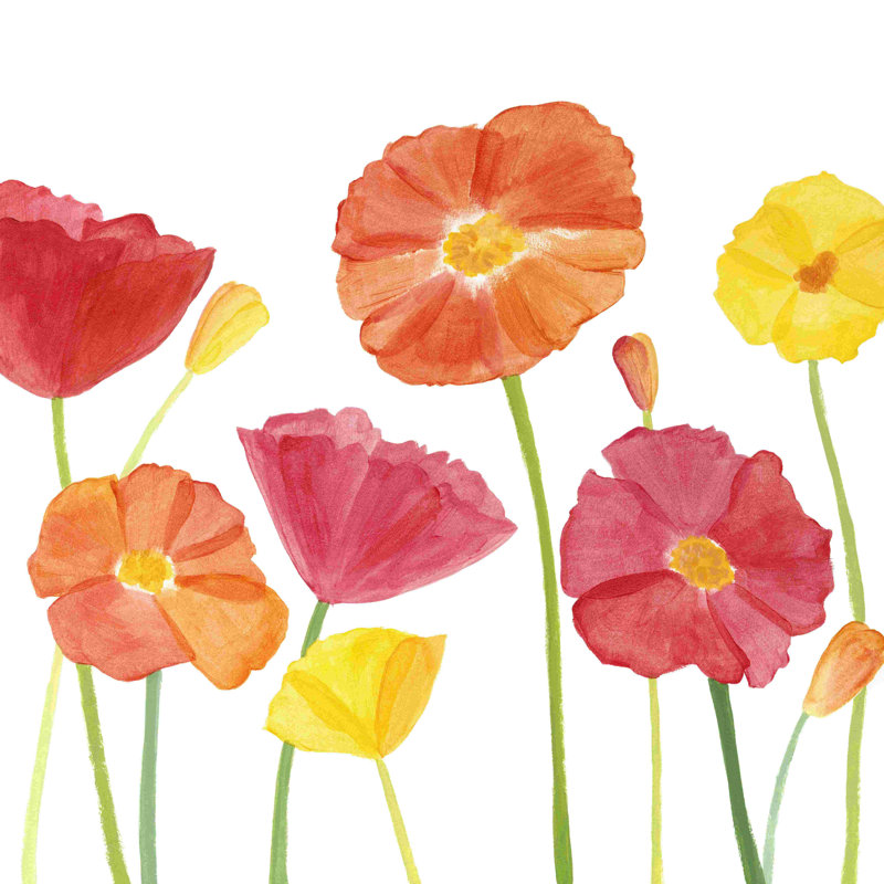 Simplement coquelicots II, H 12 po x l 12 po