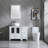 Mane 36.6'' Single Bathroom Vanity Set with Mirror and Sink-1552979006