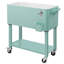 Winado Armoire de rangement pour l'extérieur-105005648