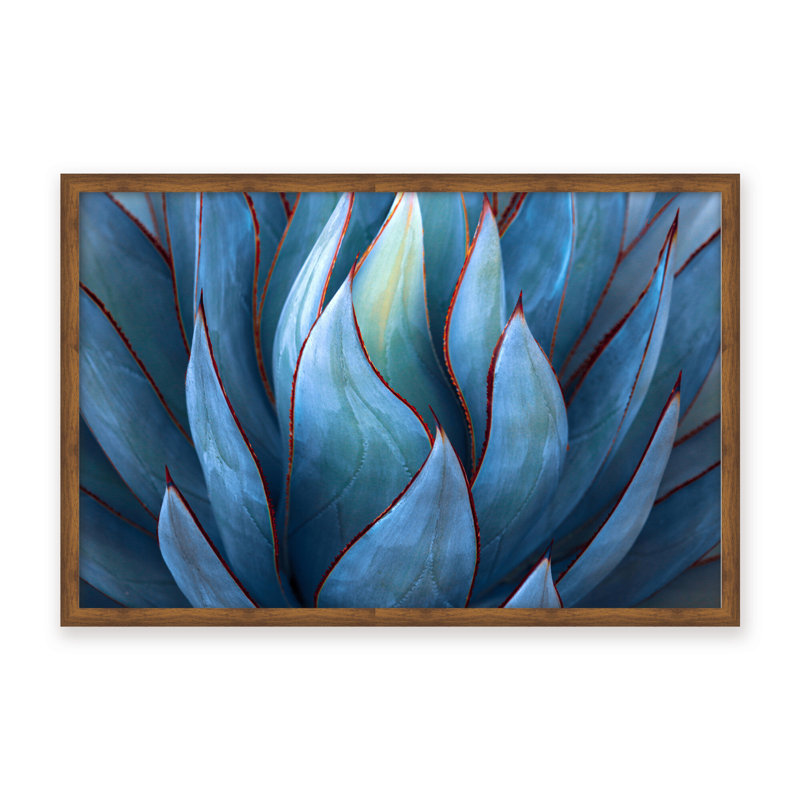 Nature Inspired Blue Agave Abstract by  - Picture Frame Graphic Art on Paper, 16" H x 24" W x 1.125" D, Black