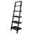Danikka Ladder Bookcase