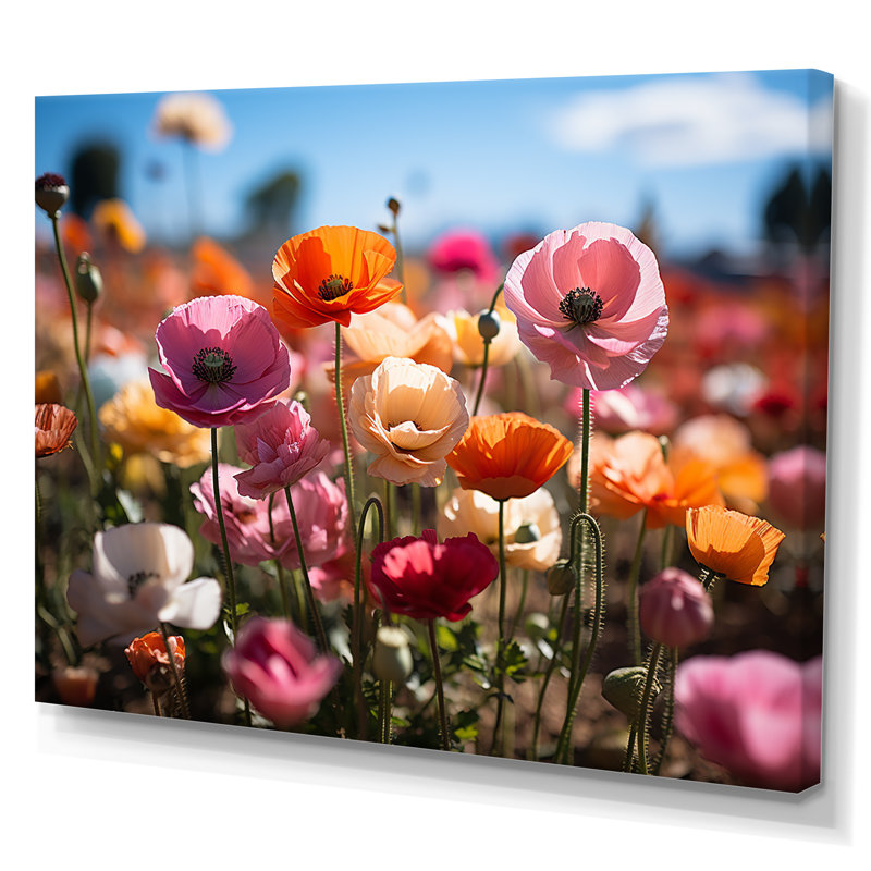 Champ de fleurs vibrantes I, H 16 po x l 32 po x P 1 po, Toile tendue