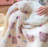 Dog Blankets-99183244