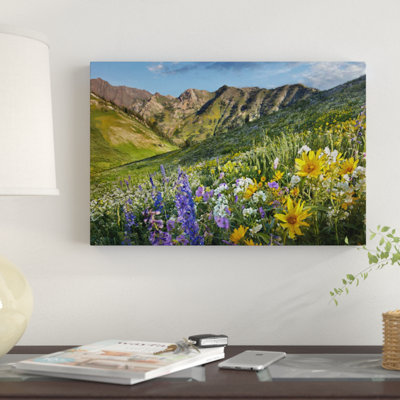 " Larkspur And Sunflowers, Albion Basin, Wasatch Range, Utah " Color Photography Print