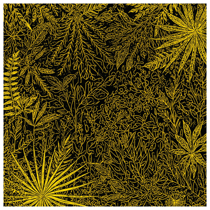 Rideaux de douche jaunes Botanical Illustration, L 70 po x H 84 po