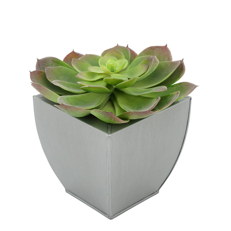 Succulent artificiel 2" en pot, Argent