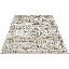 Arcada Area Rug-1929644519