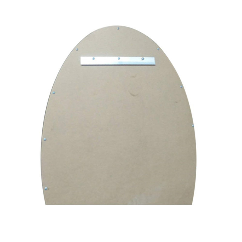 Olly-Jude Metal Oval Mirror with Shelves, Gold