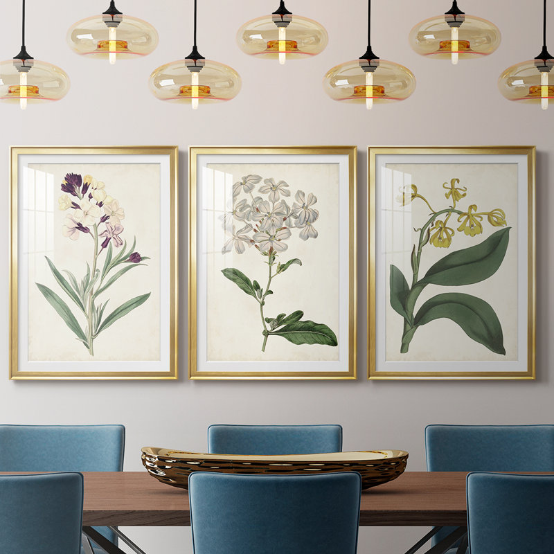 Antique Botanical Collection VII - reproduction sur mesure encadrée de qualité supérieure - 3 pièces, H 15 po x l 19 po, Doré
