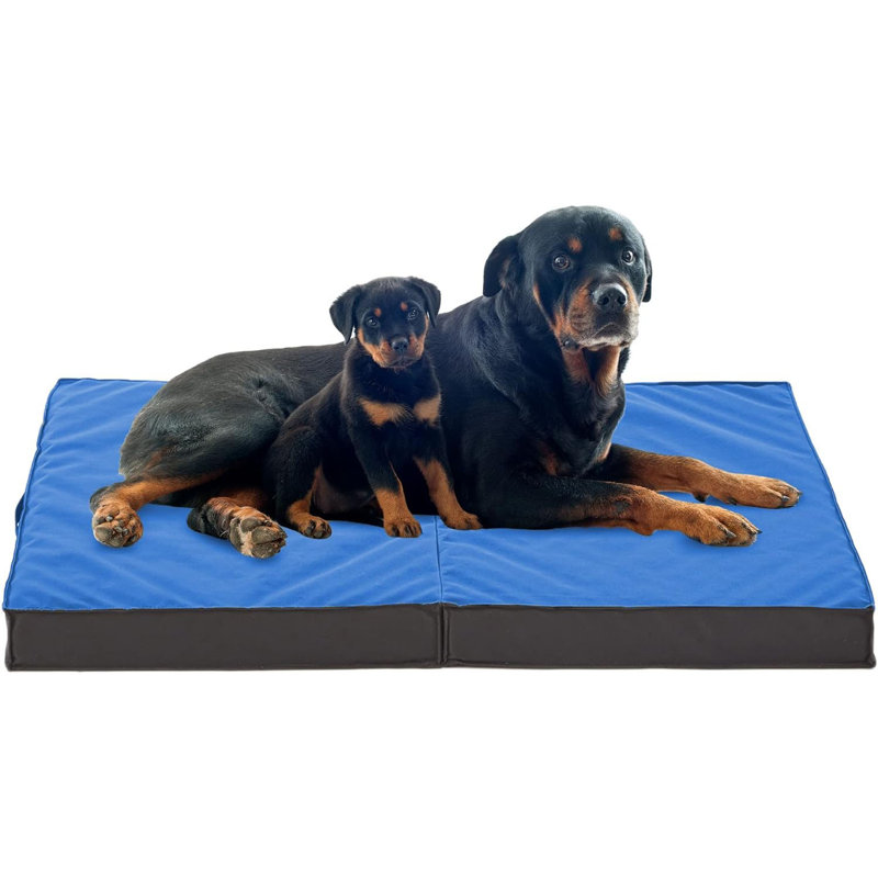Lit pliable de refroidissement pour chien orthopédique pour l'extérieur intérieur, Bleu