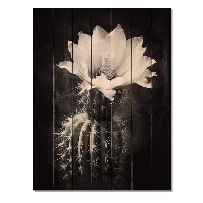 " Black White Cactus Minimal Collage ", 32" H x 24" W x 0.78" D