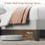 Velvet Upholstered Platform Bed with Headboard-114297180