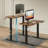Naitik 48''W Height Adjustable Metal Base with Desk-944821159