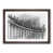 Walnut Framed selected