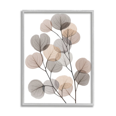 Feuilles d'eucalyptus moderne, feuilles translucides brun gris, estampe numérique encadrée, art texturé par Albert Koetsier