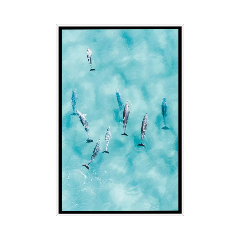 Reproduction d’art, "Cruisy Dolphins III" par Jaxon Roberts, Pas de tapis, H 26 po x l 18 po x 1,5 po, Toile blanche encadrée
