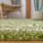 Develin Performance Chevron Rug-1466135768-1371224397