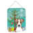 Jack Russell Terrier 3
