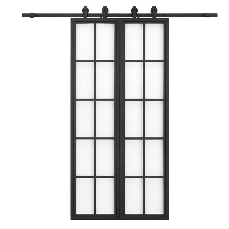 Metal Frame With Glass Barn Door