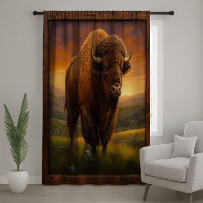 Rideaux Bison In Grassland