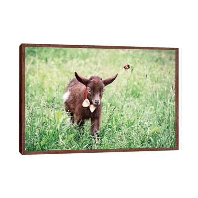 Dwarf Goat Bow Tie by Karen Burke - Print on Canvas