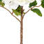 16.5 Peony Stem. Each bag contains three sprays.-76022399