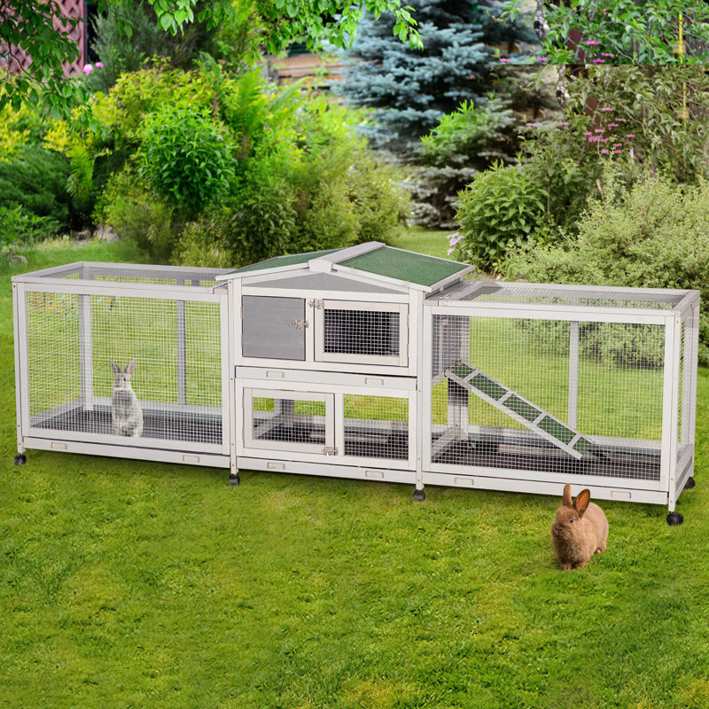 Deniecia Weather Resistant Rabbit