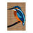 Washable White throated Kingfisher Birds Area Rug-690787555