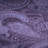 Paisley Indoor Rug-1951104296