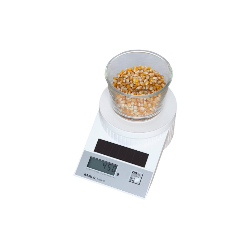 Symple Stuff Scale