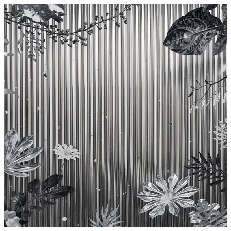 Couvertures monochromes à feuillage tropical, L 60 po x H 80 po