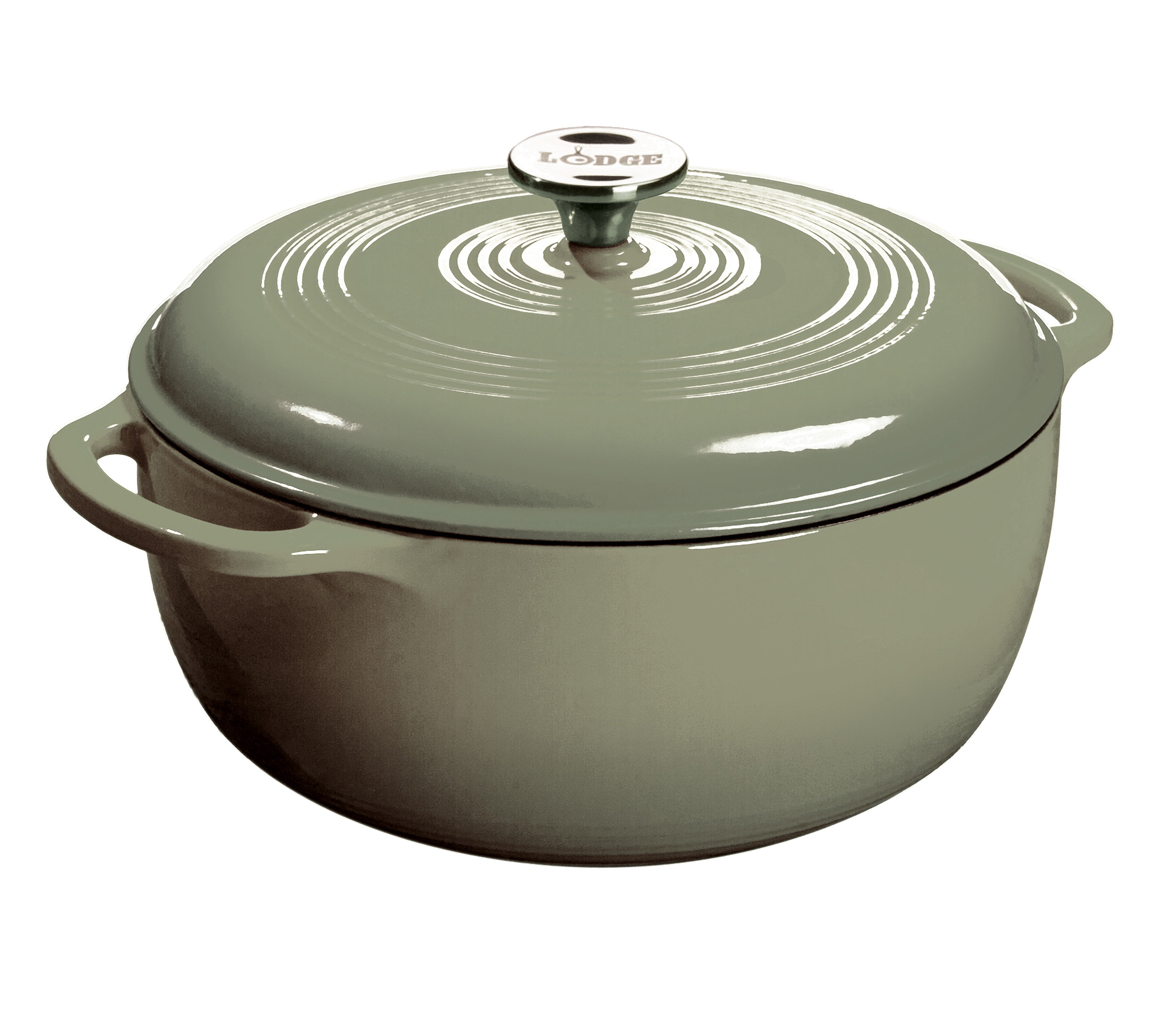 Lodge Lodge Enameled Cast Iron Dutch Oven | Wayfair