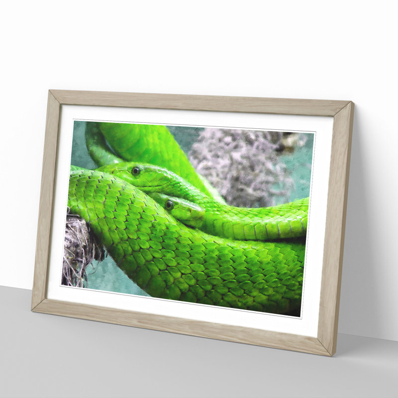 Green Mamba Snakes - Framed Print, 48cm H x 65cm W x 2cm D, Oak Framed