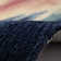Tapis en laine Orlovista