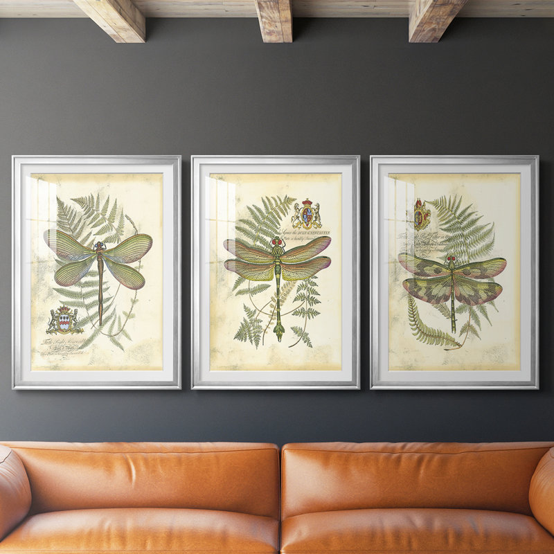 Libellule royale II (PP) - reproduction sur mesure encadrée de qualité supérieure - 3 pièces, Argent argent