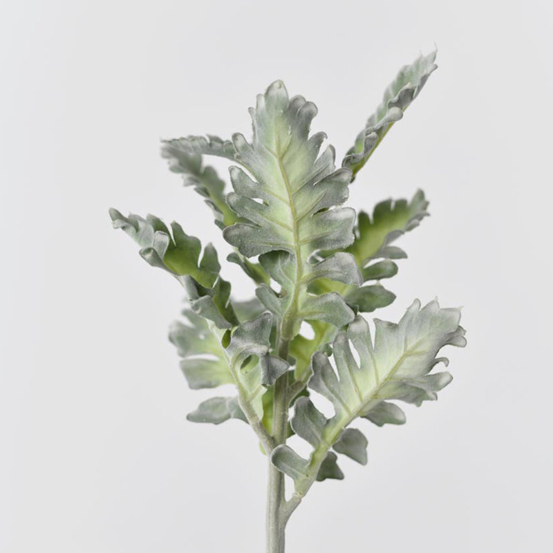 Audet vert faux Senecio Cineraria (1 tige)