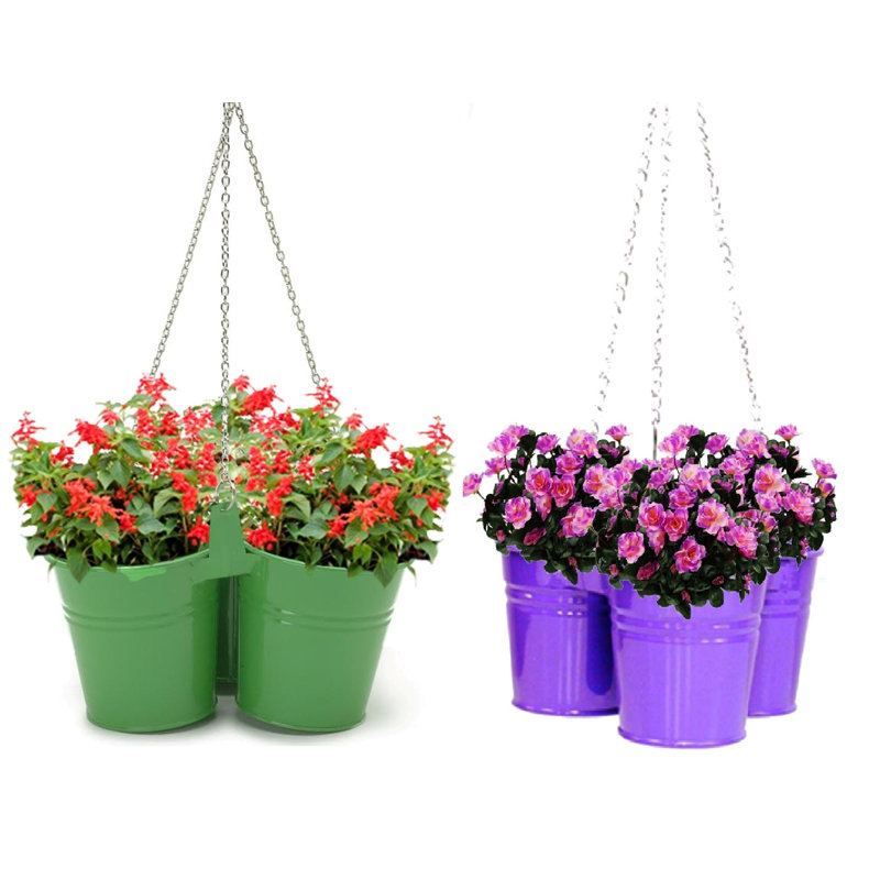 Metal Hanging Planter, Apple Green/Violet, 24" H x 11" W x 11" D
