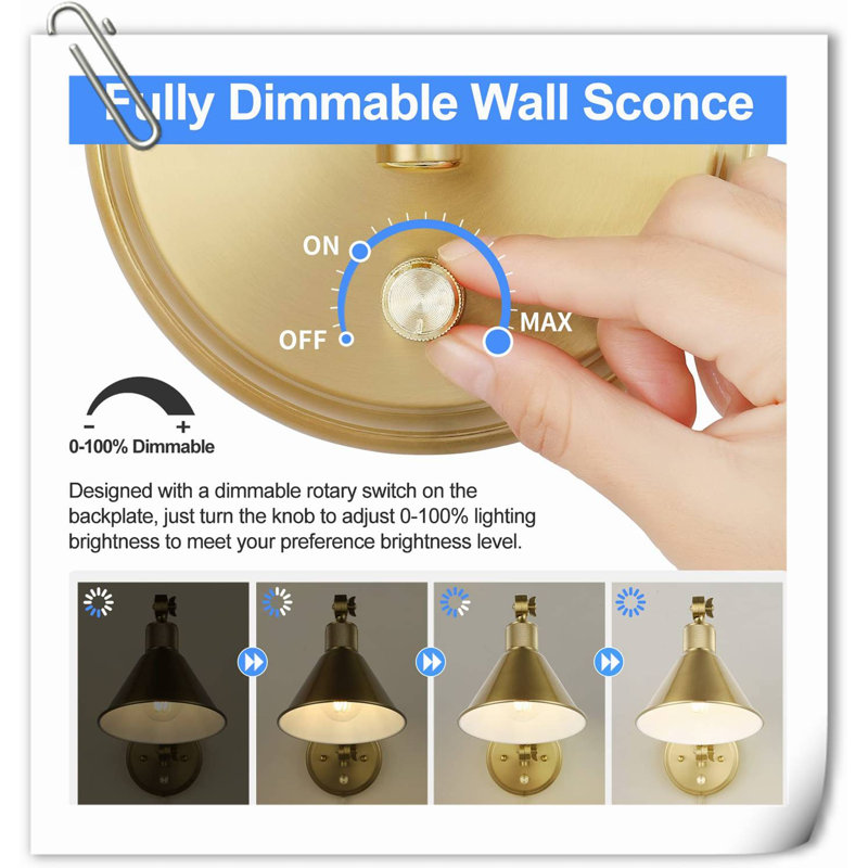 Tashania Brass LED Swing Arm Sconce, Gold