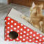 Grattoir pour chat Elijah Incline