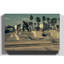 Skateboarder Skateboarding Skate Park Photographic - Wrapped Canvas-19043069