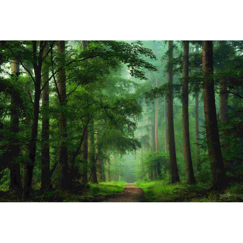 Vert maussade, H 8 po x l 12 po, Non, Toile tendue