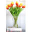 Centre de table 20 po Real Touch-712324678