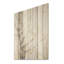 Minimalisme, arbre sycomore beige solitude - arbre sycomore, art mural sur bois de pin naturel-646917565