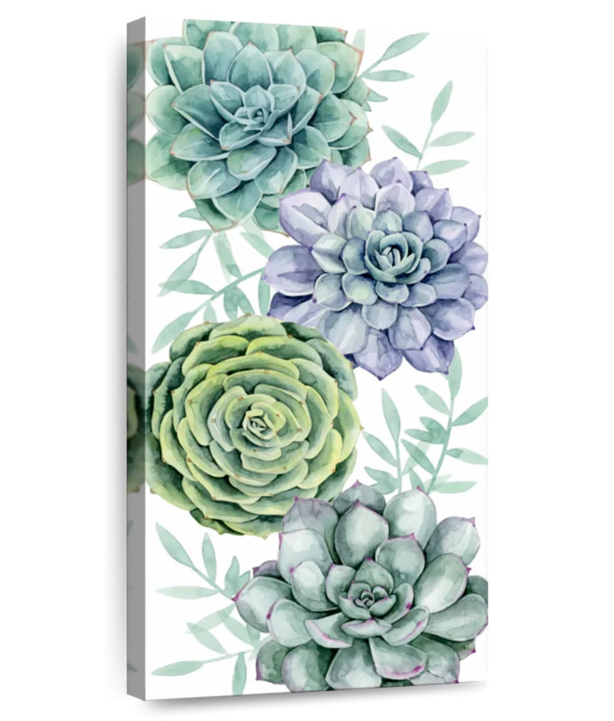 Succulent Swatch Collection B, 24" H x 12" W