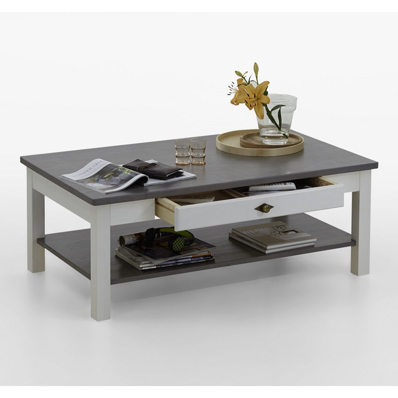 Hojanovice Coffee Table with Storage, White/Grey