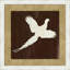 Cabin Collection Pheasant Print