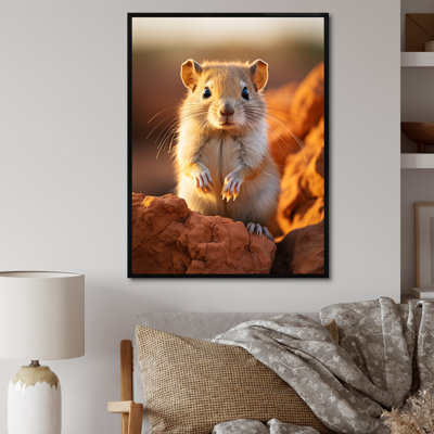 " Small Wonder Rodent "