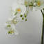 Real Touch Artificial Orchids Plastic, Silk Artificial Arrangement in Planter-88685008-107236911