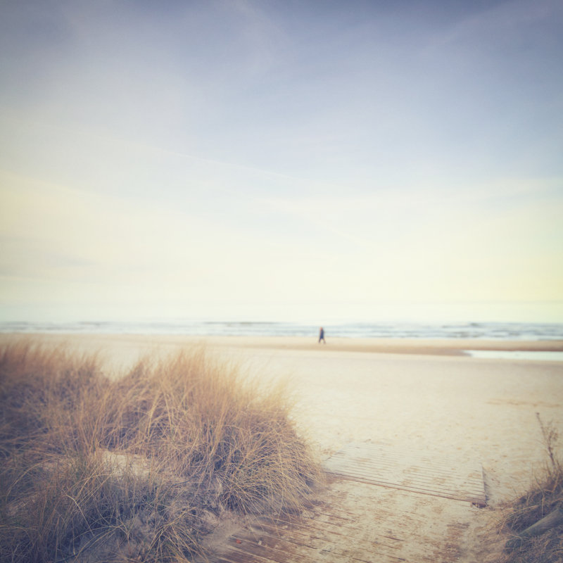 Plage tranquille de Rike, H 20 po x l 20 po